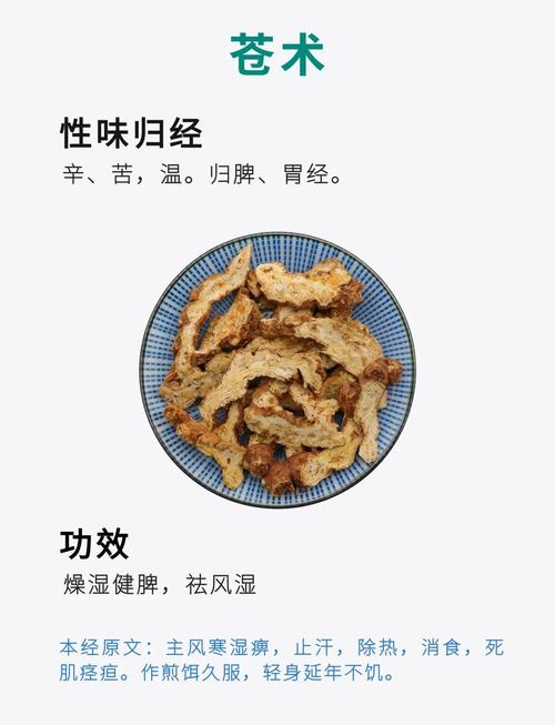 苍术的功效与作用？白术的功效与作用？-第3张图片-优品飞百科