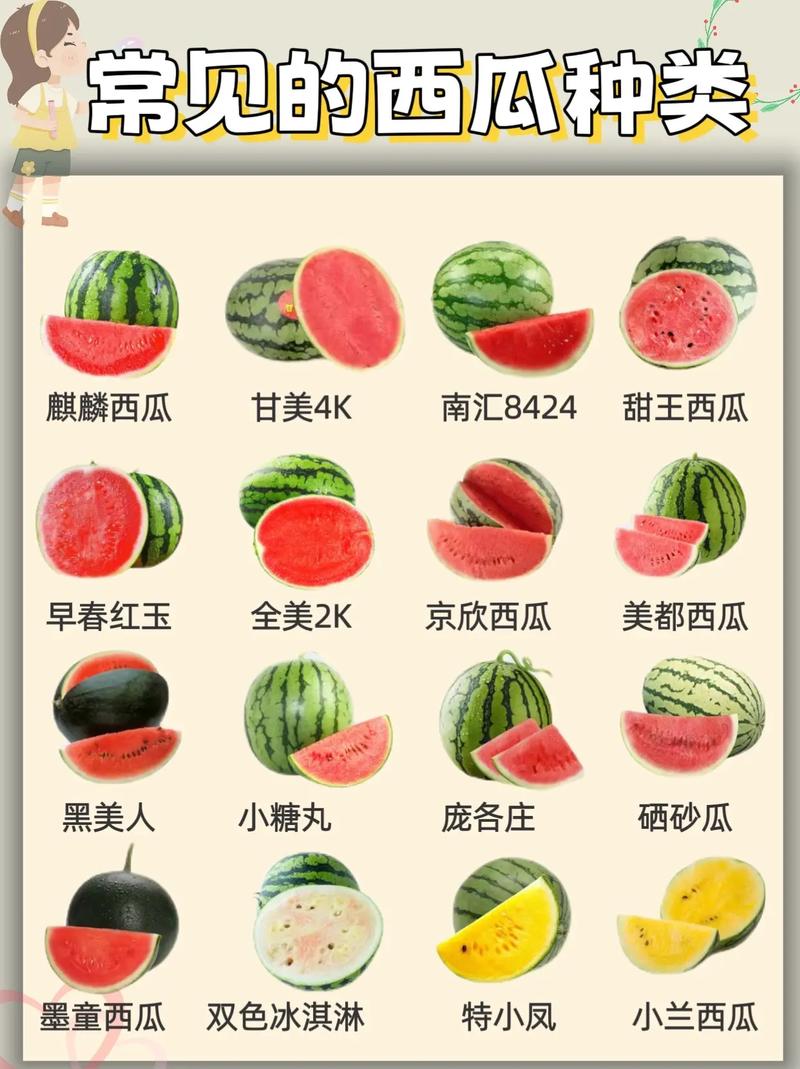 西瓜多少钱一斤，西瓜照片，西瓜多少钱一斤是什么意思