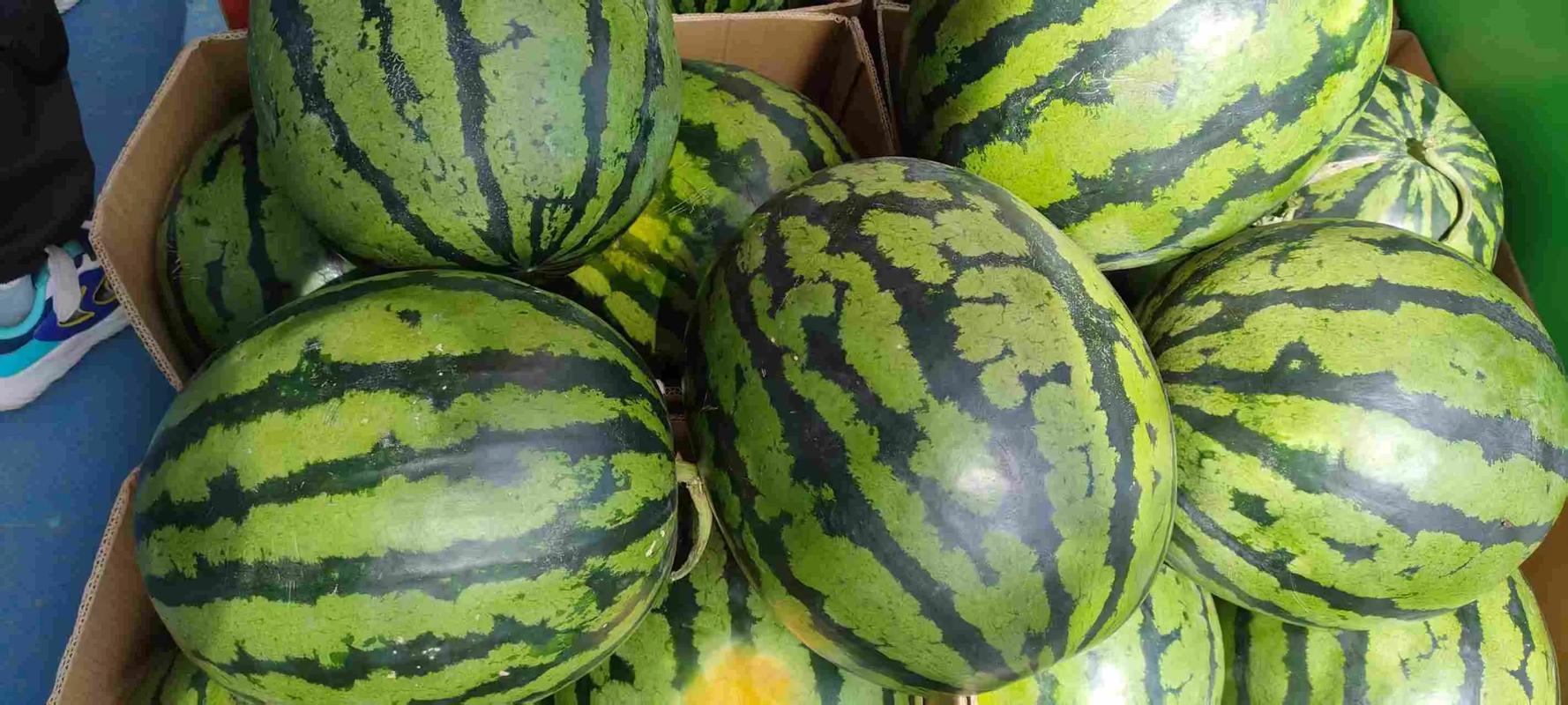 西瓜多少钱一斤，西瓜照片，西瓜多少钱一斤是什么意思-第5张图片-优品飞百科