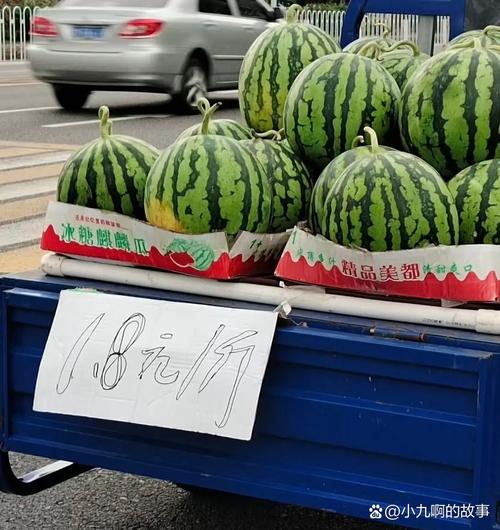 西瓜多少钱一斤，西瓜照片，西瓜多少钱一斤是什么意思-第6张图片-优品飞百科