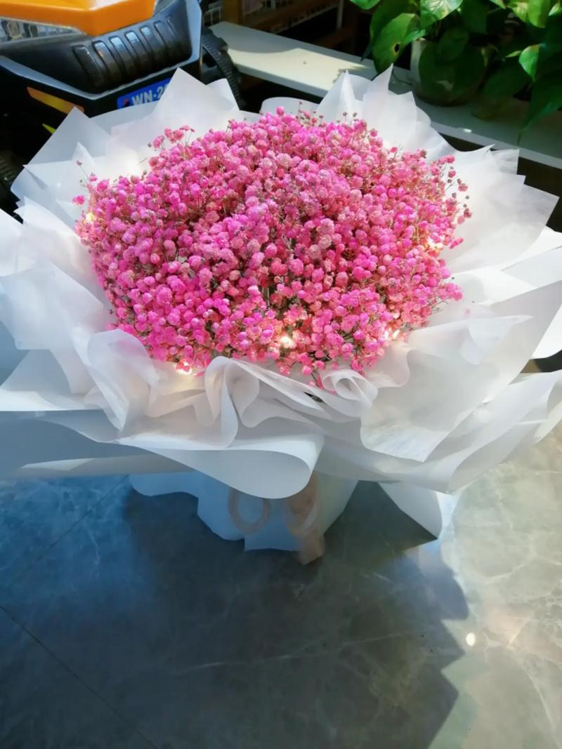 一束满天星多少钱，一小束满天星多少钱，一束满天星多少钱?？-第2张图片-优品飞百科