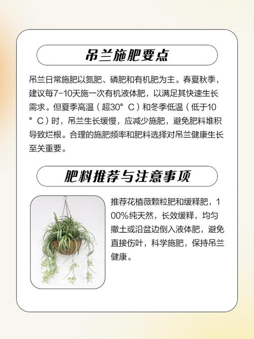 水养吊兰用什么肥,养在水里的吊兰用什么肥?-第4张图片-优品飞百科 水养吊兰用什么肥,养在水里的吊兰用什么肥?-第4张图片-优品飞百科