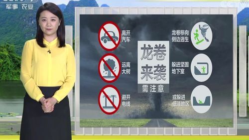 望奎最新天气预报三天，望奎天气预报明天24小时-第5张图片-优品飞百科