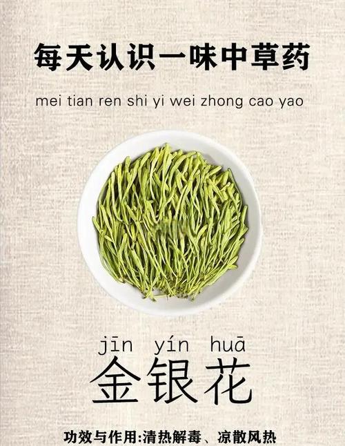 金银花与金莲花的区别?金银花与金莲花的区别与功效?-第2张图片-优品飞百科 金银花与金莲花的区别?金银花与金莲花的区别与功效?-第2张图片-优品飞百科