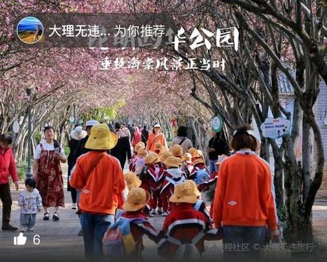 西华天气预报7天查询最新,西华天气预报15天30天?-第3张图片-优品飞百科 西华天气预报7天查询最新,西华天气预报15天30天?-第3张图片-优品飞百科