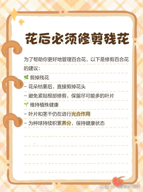 百合花开完花怎么处理，百合花开完花怎么处理干净？-第5张图片-优品飞百科