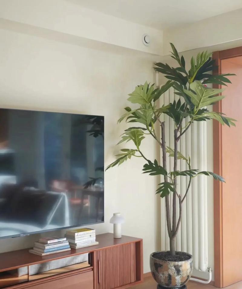 包含“4种”花养家里,“病菌”都害怕,空气清新少生病!的词条-第7张图片-优品飞百科 包含“4种”花养家里,“病菌”都害怕,空气清新少生病!的词条-第7张图片-优品飞百科