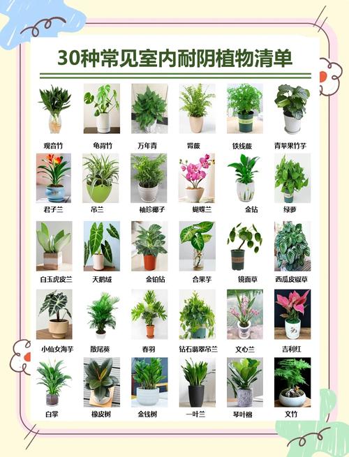 耐阴的植物有哪些？最耐阴的前十漂亮植物？