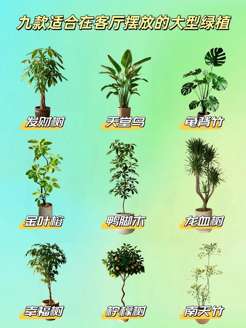耐阴的植物有哪些？最耐阴的前十漂亮植物？-第2张图片-优品飞百科