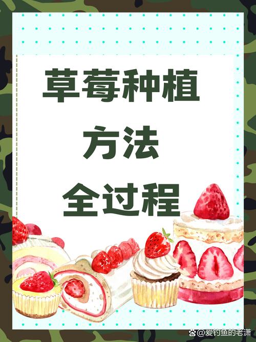 盆栽草莓什么时候种好,盆栽草莓什么时候浇水?-第4张图片-优品飞百科 盆栽草莓什么时候种好,盆栽草莓什么时候浇水?-第4张图片-优品飞百科