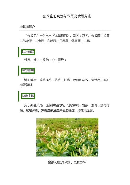 金银花的功效与作用，金银花的功效与作用泡水喝的功效
