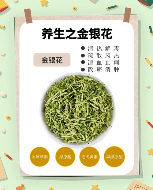 金银花的功效与作用,金银花的功效与作用泡水喝的功效-第2张图片-优品飞百科 金银花的功效与作用,金银花的功效与作用泡水喝的功效-第2张图片-优品飞百科