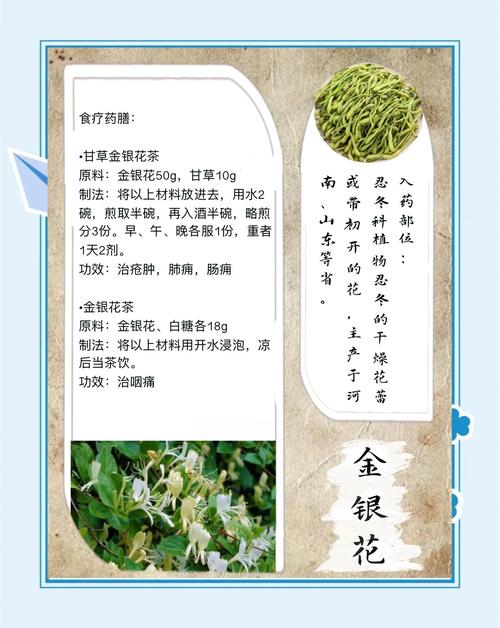 金银花的功效与作用,金银花的功效与作用泡水喝的功效-第3张图片-优品飞百科 金银花的功效与作用,金银花的功效与作用泡水喝的功效-第3张图片-优品飞百科