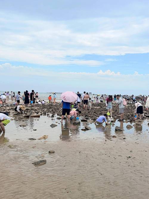 唐山市曹妃甸天气预报15天准确？唐山曹妃甸天气预报24小时？-第7张图片-优品飞百科