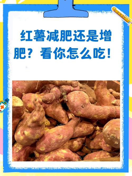 吃红薯会发胖吗，经常吃红薯会胖吗，吃红薯爱发胖吗