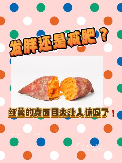 吃红薯会发胖吗，经常吃红薯会胖吗，吃红薯爱发胖吗-第4张图片-优品飞百科