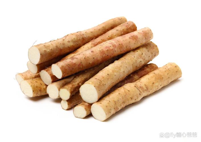 根茎类蔬菜有哪些，根茎类蔬菜有哪些宝宝辅食6个月-第3张图片-优品飞百科