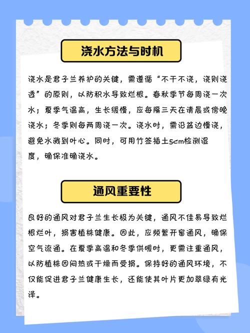 刚买的君子兰怎么上盆？刚买的君子兰怎么上盆呢？-第5张图片-优品飞百科