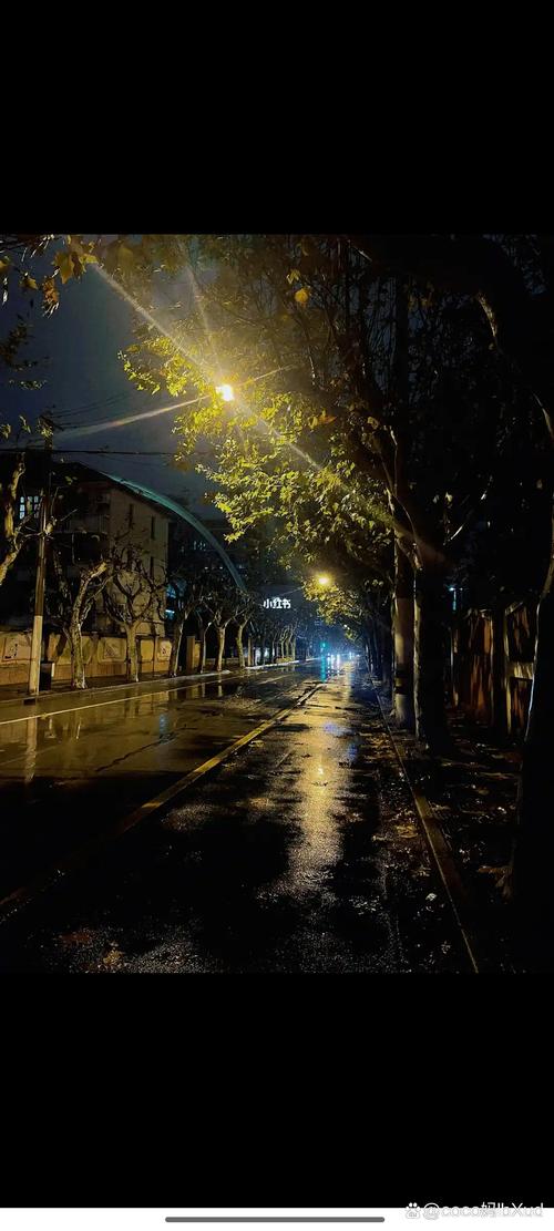 上海杨浦区天气预报15天查询？上海杨浦地区天气预报？-第2张图片-优品飞百科