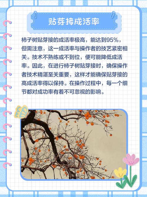 柿子树的扦插繁殖法?柿子树苗扦插技术?-第4张图片-优品飞百科 柿子树的扦插繁殖法?柿子树苗扦插技术?-第4张图片-优品飞百科