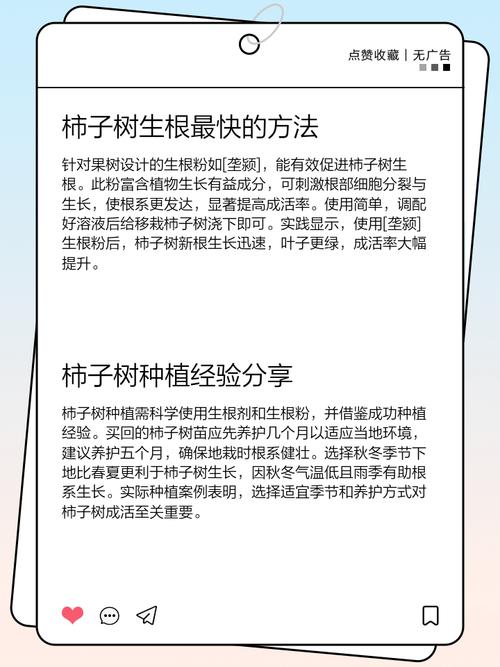 柿子树的扦插繁殖法?柿子树苗扦插技术?-第6张图片-优品飞百科 柿子树的扦插繁殖法?柿子树苗扦插技术?-第6张图片-优品飞百科