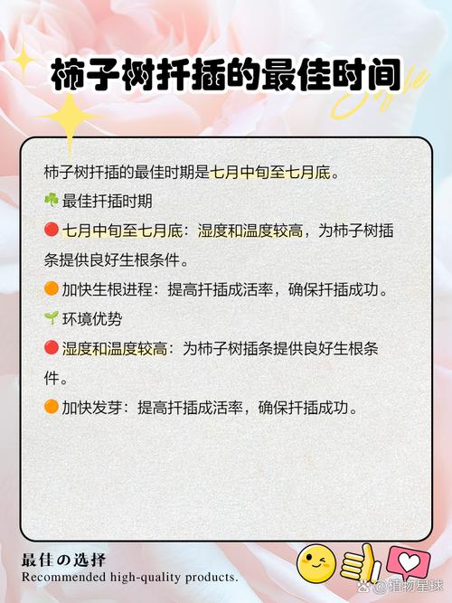 柿子树的扦插繁殖法?柿子树苗扦插技术?-第7张图片-优品飞百科 柿子树的扦插繁殖法?柿子树苗扦插技术?-第7张图片-优品飞百科