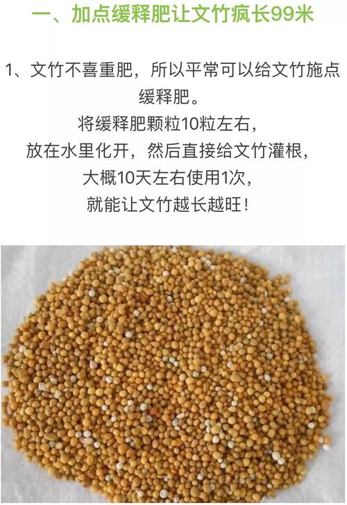 绿萝100米，吊兰疯狂爆小崽，邻居给它吃了啥？？绿萝吊兰介绍？