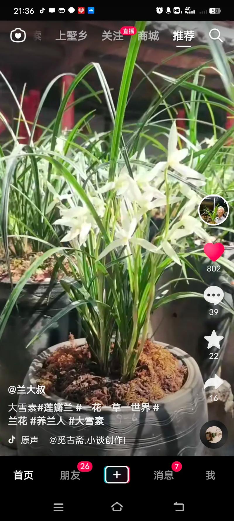 大雪素和小雪素的区别？大雪素和小雪素的区别图片？-第5张图片-优品飞百科