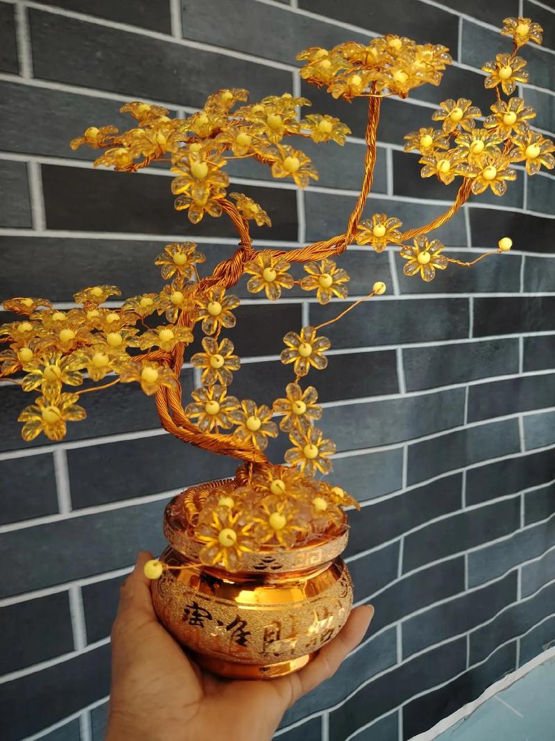 发财树的作用大全？发财树的功效与作用点？-第3张图片-优品飞百科