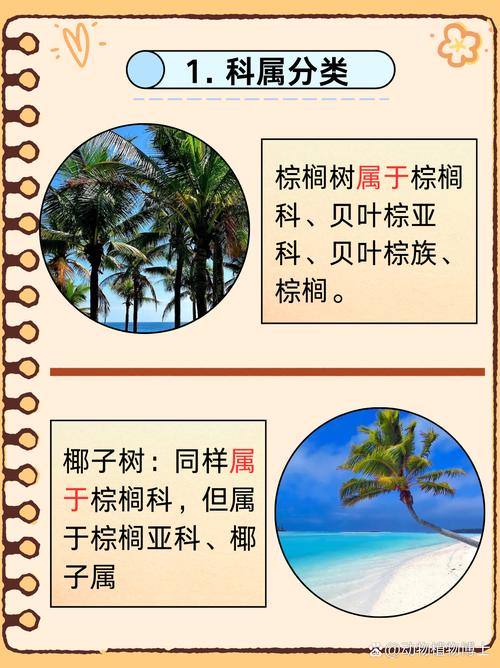 棕榈树和椰子树的区别，棕榈树和椰子树的区别图片-第2张图片-优品飞百科