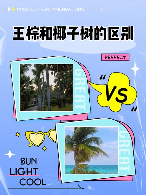 棕榈树和椰子树的区别，棕榈树和椰子树的区别图片-第5张图片-优品飞百科