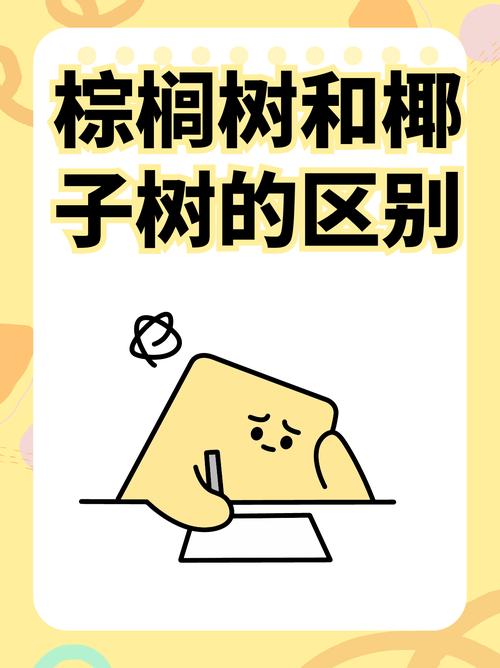 棕榈树和椰子树的区别，棕榈树和椰子树的区别图片-第6张图片-优品飞百科