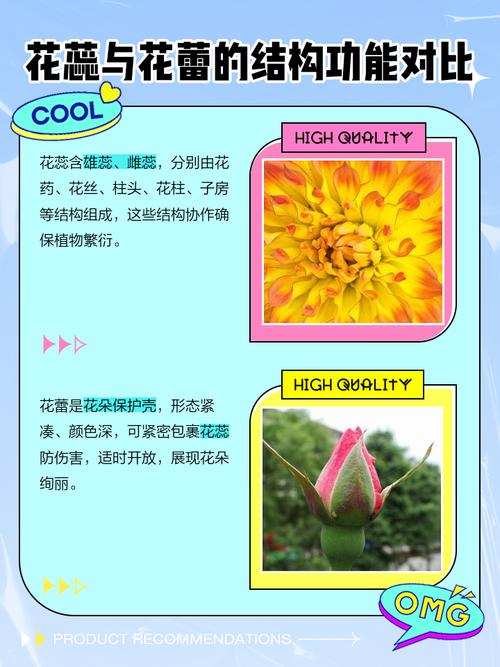 花蕾和花蕊什么区别，花蕾和花蕊什么区别图片-第2张图片-优品飞百科