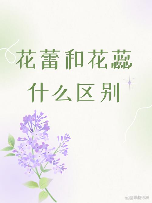 花蕾和花蕊什么区别，花蕾和花蕊什么区别图片-第4张图片-优品飞百科