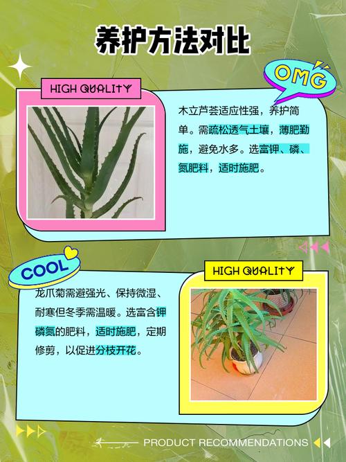 海虎兰和木立芦荟的区别？海虎兰芦荟和开普芦荟区别？-第2张图片-优品飞百科