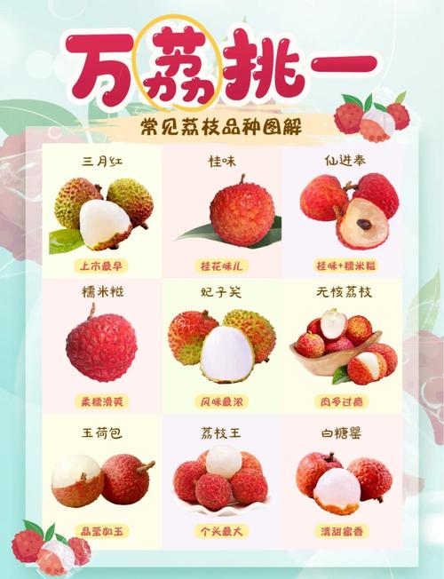 荔枝的功效与作用？荔枝的功效与作用的营养？-第6张图片-优品飞百科