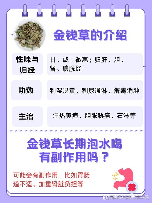 金钱草的副作用及禁忌，喝金钱草水有没有副作用？