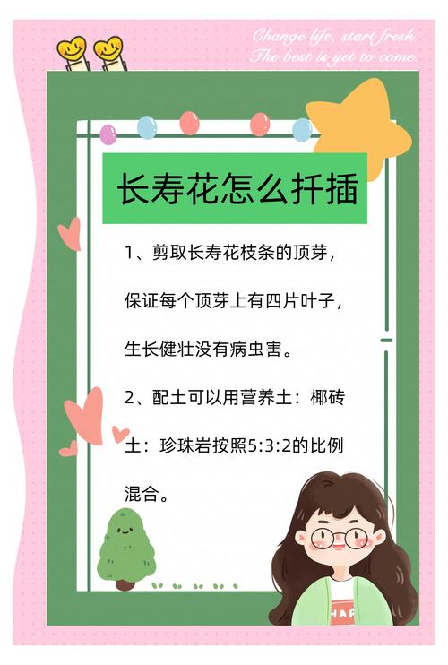 长寿花怎么繁殖？长寿花怎么繁殖什么季节比较好？-第7张图片-优品飞百科