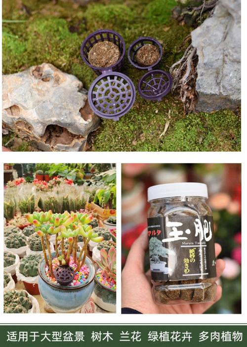 生活中哪些常见用品可以做花肥？生活中哪些东西可以用来做花肥？