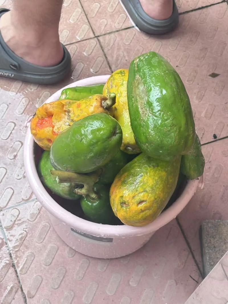 生活中哪些常见用品可以做花肥?生活中哪些东西可以用来做花肥?-第5张图片-优品飞百科 生活中哪些常见用品可以做花肥?生活中哪些东西可以用来做花肥?-第5张图片-优品飞百科