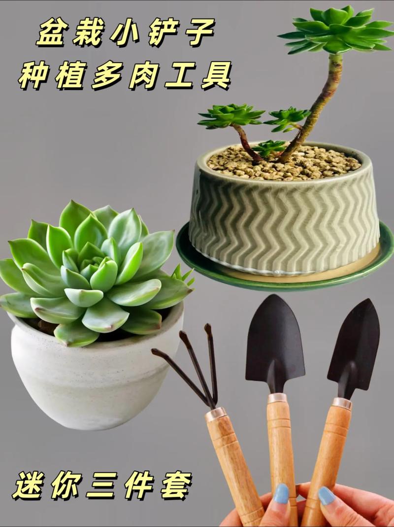 生活中哪些常见用品可以做花肥?生活中哪些东西可以用来做花肥?-第7张图片-优品飞百科 生活中哪些常见用品可以做花肥?生活中哪些东西可以用来做花肥?-第7张图片-优品飞百科