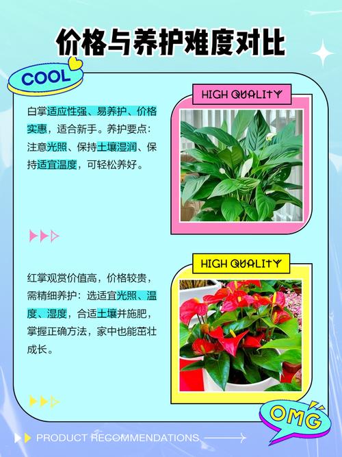 白掌和红掌的区别，红掌不进宅的原因？-第2张图片-优品飞百科