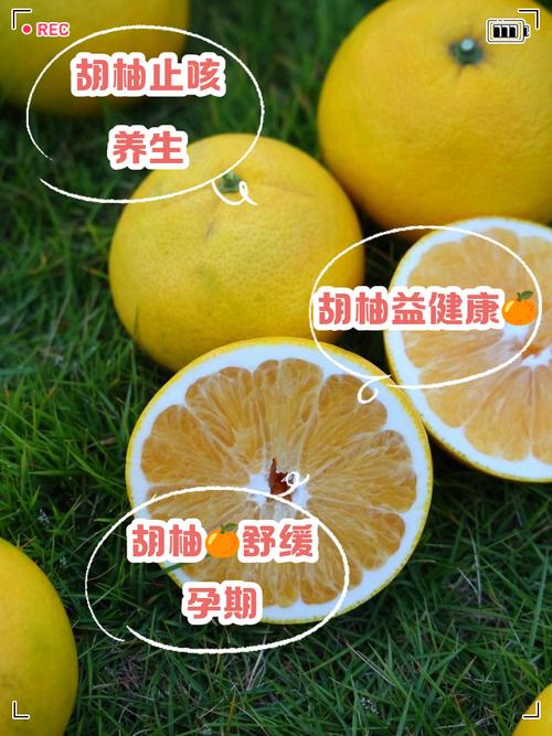 胡柚什么时候采摘，胡柚产季-第6张图片-优品飞百科