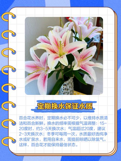 百合花盆栽的养殖方法，百合花盆栽的养殖方法和技术-第4张图片-优品飞百科