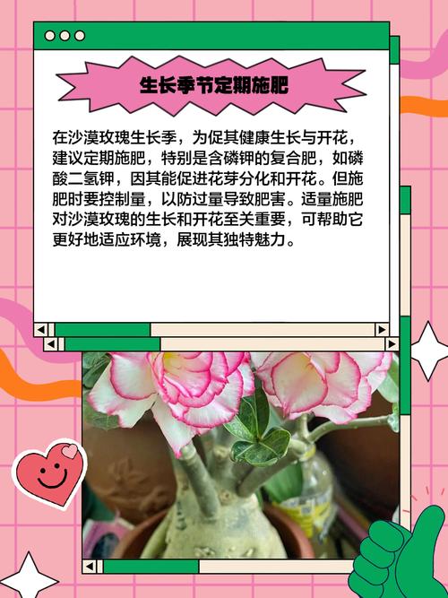 刚买的沙漠玫瑰叶子发黄怎么办，买回的沙漠玫瑰为什么黄叶子-第3张图片-优品飞百科