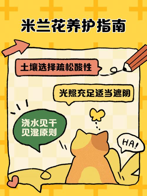 米兰花秋天怎么养,米兰秋天开花吗?-第5张图片-优品飞百科 米兰花秋天怎么养,米兰秋天开花吗?-第5张图片-优品飞百科