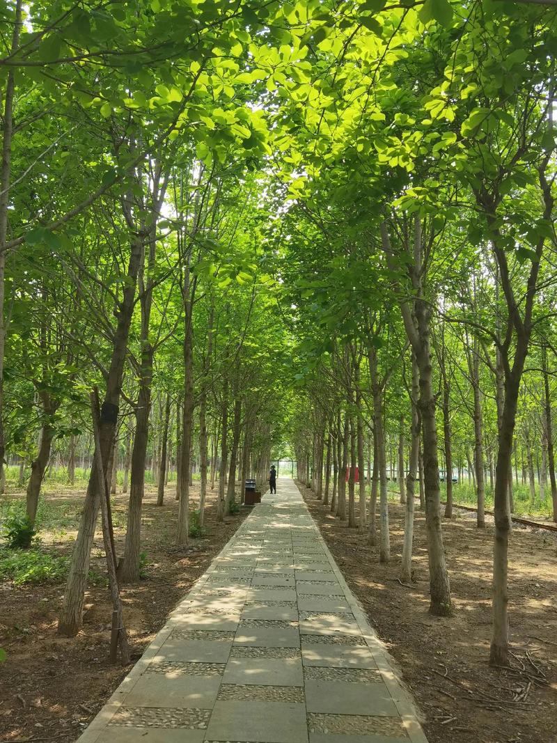 天气预报济南市历城区，济南历城区天气预报今天准确的？-第6张图片-优品飞百科