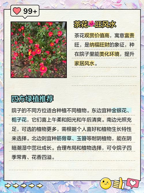 山茶花在哪里生长？山茶花在哪个地方生长？-第5张图片-优品飞百科