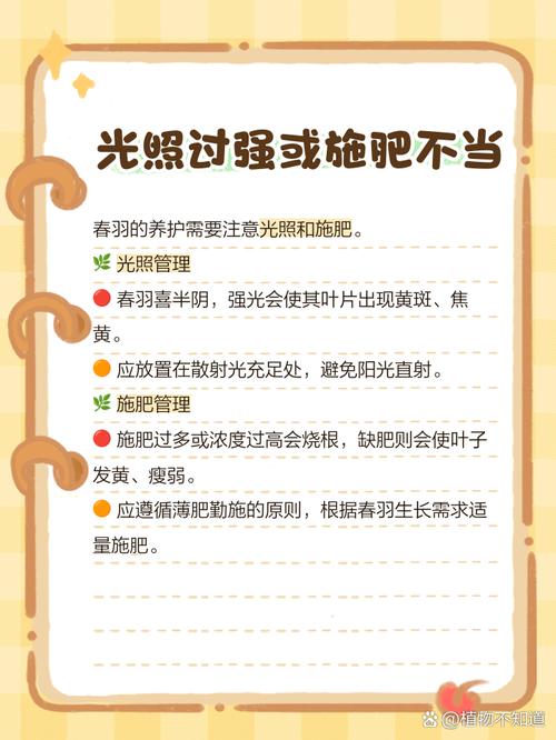 春羽叶子发黄的原因，黄叶怎么办，春羽叶子黄了还能绿回来了吗-第2张图片-优品飞百科