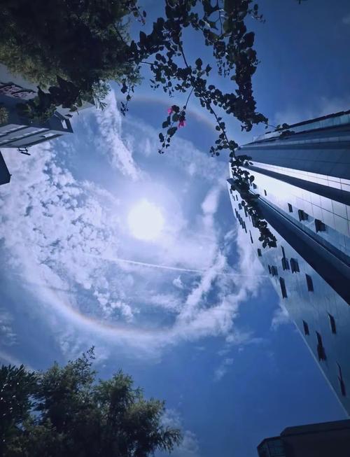乐清天气预报一周查询，乐清天气预报7天一周-第6张图片-优品飞百科